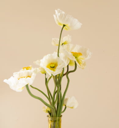 flowers and plants