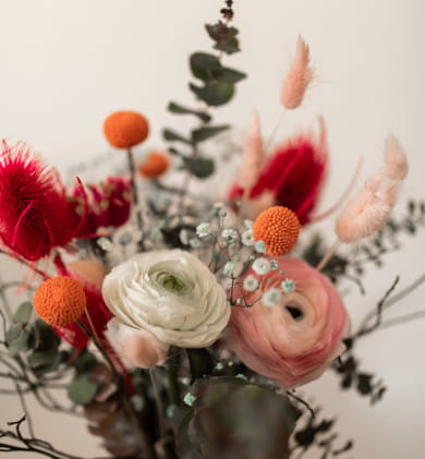 flowers and plants